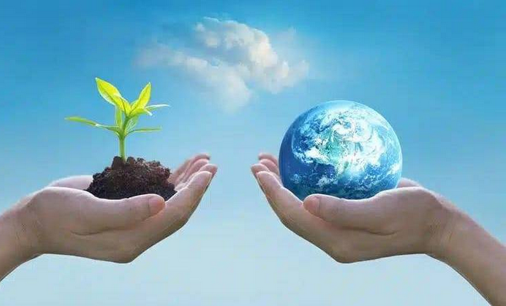 10 طرق بسيطة لحماية البيئة في حياتك اليومية