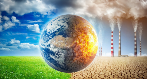 Screenshot 2025-03-26 at 15-16-50 التغير المناخي - Google Search